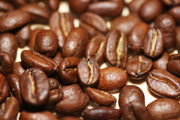 Macro shot of roasted coffee beans