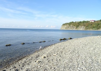 Beta beach