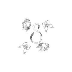 Number eight 8 of flowers. Sketch element for international women's day. Vector illustration