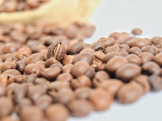 closeup of coffee beans