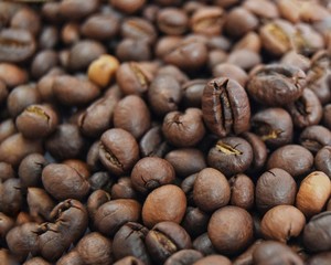 coffee beans on wooden background