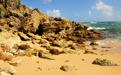 Rocky Coastal at Bottom Bay