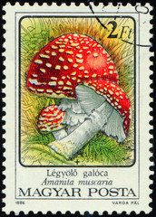 HUNGARY - CIRCA 1986: stamp 2 Hungarian forint printed by Hungary, shows mushrooms Amanita...