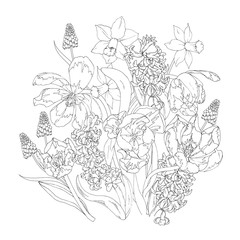 Blooming spring flowers, tulips, daffodils, hyacinths and Muscari, coloring page, black and white vector illustration