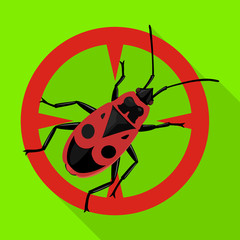 Insect firefly vector icon.Flat vector icon isolated on white background insect firefly .