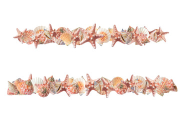 Seashells long borders. Summer clip art on white background