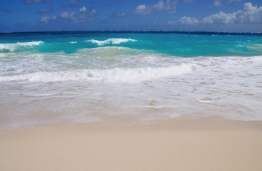 View of Beach in Barbados