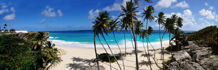 Obraz na płótnie Canvas Beach and Palm Trees