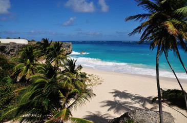 Fototapeta premium Beach and Palm Trees