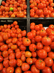 Beautiful closeup red fresh tomatoes background in the garden and salad market