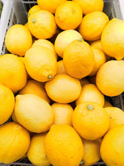 Beautiful texture fresh lemon orange lime tangerine and grapefruit background, fruit orange pattern 