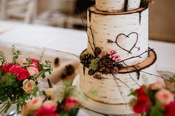 Wedding 3-storey cake that imitates pieces of tree trunk-birch. Cake complemented by natural decorations(cones,branches,flowers). On cake is carved heart pierced by arrow. Focused on center of cake.