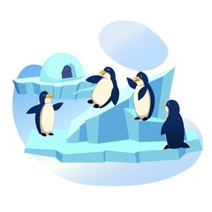 Obraz premium Animal Park, Zoo, Group of Funny Penguins Playing on Ice Floe with Icehouse, Skating from Snowy Slide, Waterfowl Aquatic Flightless Birds Wildlife, Lifestyle, Nature. Cartoon Flat Vector Illustration