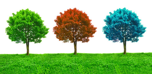 tree set in red, green and blue colors on the grass