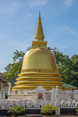 Fototapeta premium golden pagoda in Sri Lanka