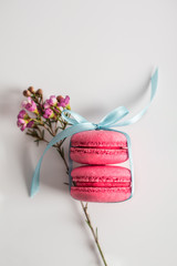 Two pink macaroons tied with a ribbon on a white background. Spring concept. present