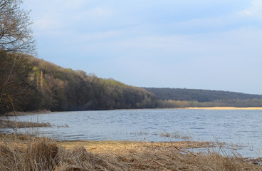 Spring scenery with lake and forest. Last year's cane weed on the foreground and dense leafless forest on the background, in the dim sun lighting