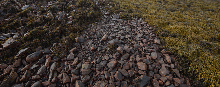 The footpath to Loch Tarbert the Isle of Jura Scotland