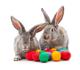 Fototapeta na wymiar Rabbits and Easter eggs.
