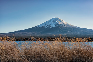 Fototapeta na wymiar Mount Fuji in Kawaguchiko, Japan