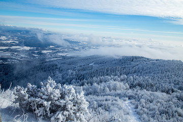Riesengebirge Tschechien winter mountain landscape with trees and blue sky