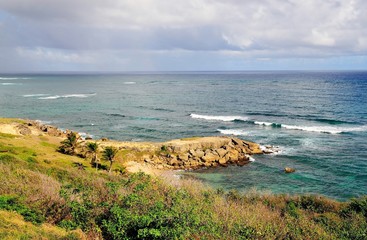 Natural Pier in Bottom Bay Barbados