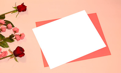 flowers on flat lay with pink and white paper