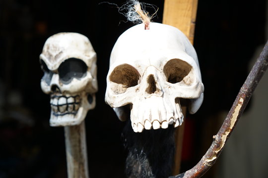 Perfectly imitated skull photographed on a cloudy day at a medieval festival in Germany
