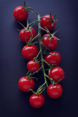 Fresh, red juicy tomatoes on a branch lie on a dark blue background. Selective focus.