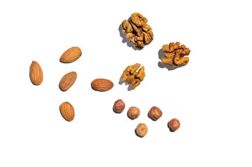 hazelnuts, walnuts, almonds. on white background. top view.