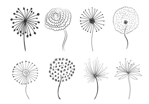 Doodle fluffy dandelions. 