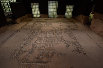 "Mona Lisa of the Galilee" - mosaic floor in Zippori, Israel