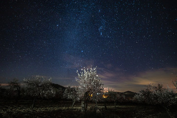 Stars and constellations at night sky landscape