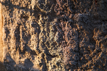 rough concrete wall texture background