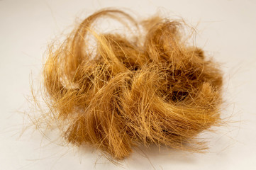 Close-up of cropped hair on a light background