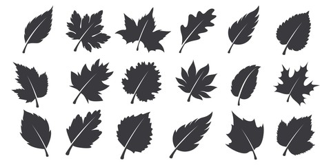 Set of autumn silhouettes, isolated on white background. vector illustration.