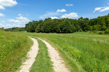Fototapeta na wymiar Country road through a meadow and forest.