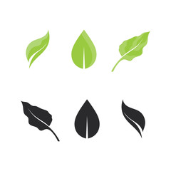 Tree leaf vector design eco friendly concept logo