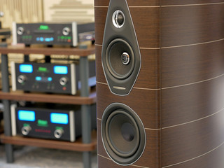 Audiophile speakers and Hi-Fi sound system. Close-up view.