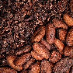 coffee beans background