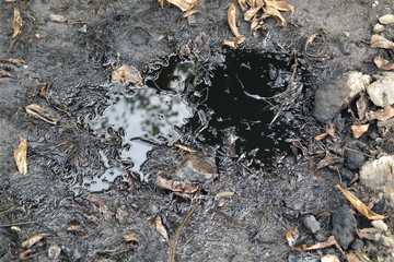 spot of spilled fuel oil on the ground