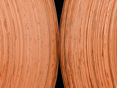 Blechtonne Bilder Durchsuchen 371 Archivfotos, und