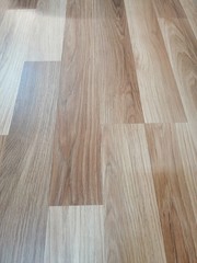 Fototapeta premium flor