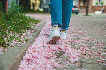 body parts close up. woman walking in white sneakers by fallen off pink sakura flowers