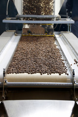 Conveyor for packing coffee beans in bags at a coffee factory for their further retail sale....