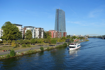 Obraz premium Main und EZB in Frankfurt
