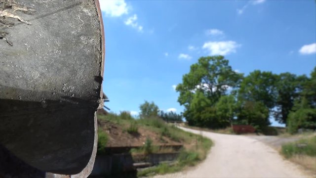 Gro&szlig;e K&ouml;nigslibelle (Anax imperator) und Azurjungfern bei der Eiablage