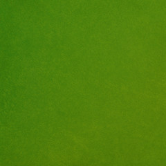 Fototapeta na wymiar Green background with elegant vintage texture