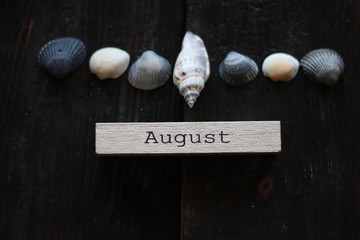 inscription august and row of mollusk shells