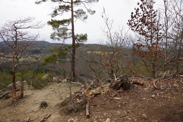 Viewpoint May - Vltava - Czech Republic